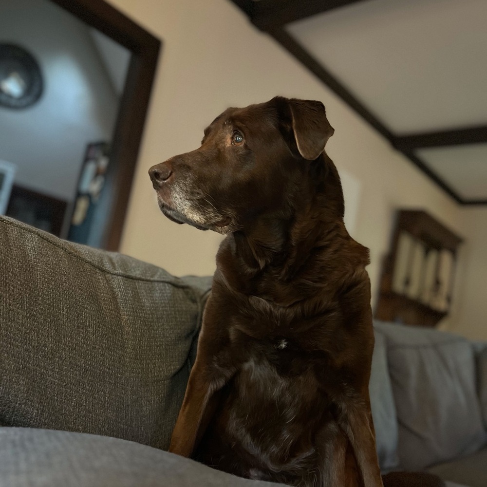 Hi, I’m Jaime. - Picture 3 of 3